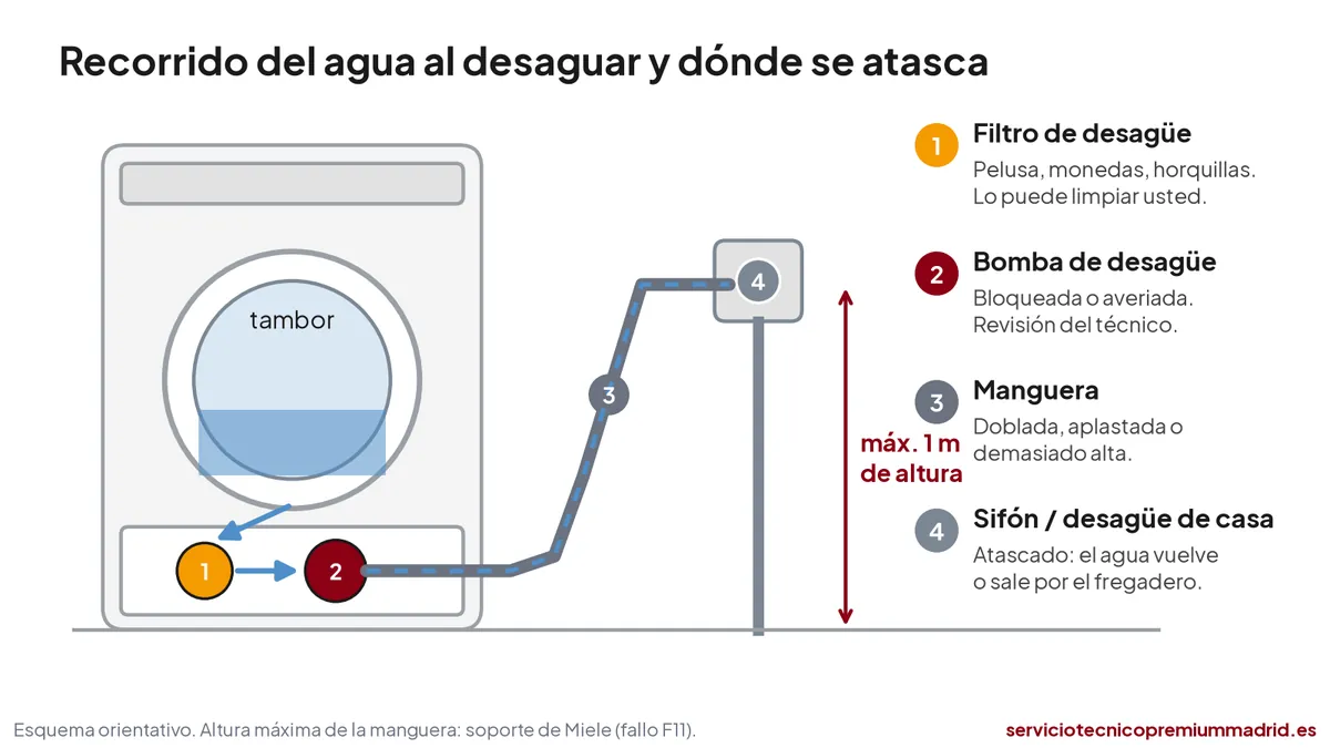 Esquema del desagüe de una lavadora: filtro, bomba, manguera de máximo 1 metro y sifón de la vivienda